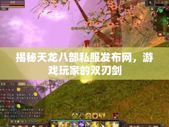揭秘天龙八部私服发布网，游戏玩家的双刃剑