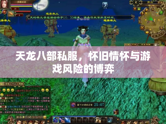 天龙八部私服，怀旧情怀与游戏风险的博弈