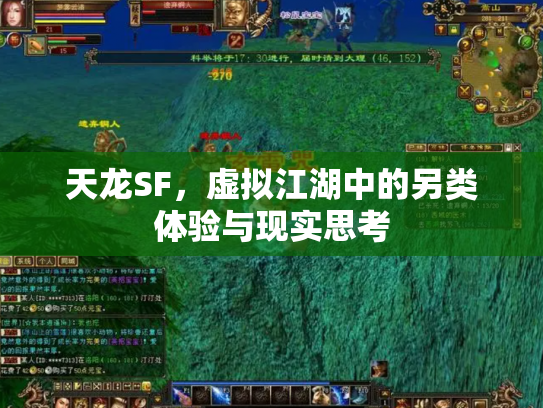 天龙SF，虚拟江湖中的另类体验与现实思考