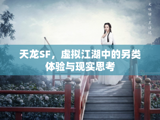 天龙SF，虚拟江湖中的另类体验与现实思考