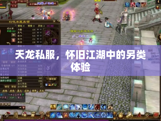天龙私服，怀旧江湖中的另类体验