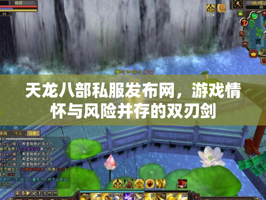 天龙八部私服发布网，游戏情怀与风险并存的双刃剑