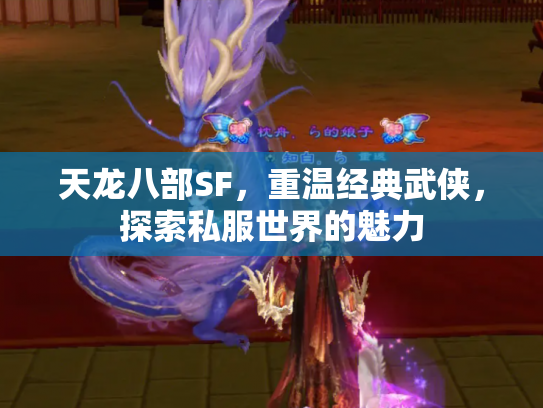 天龙八部SF，重温经典武侠，探索私服世界的魅力