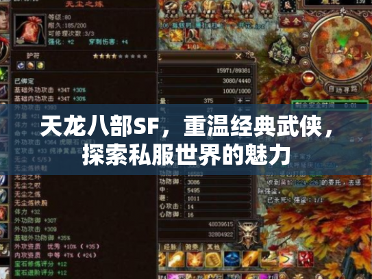 天龙八部SF，重温经典武侠，探索私服世界的魅力