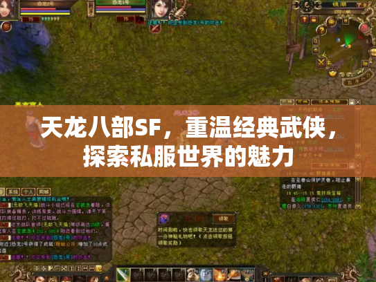 天龙八部SF，重温经典武侠，探索私服世界的魅力