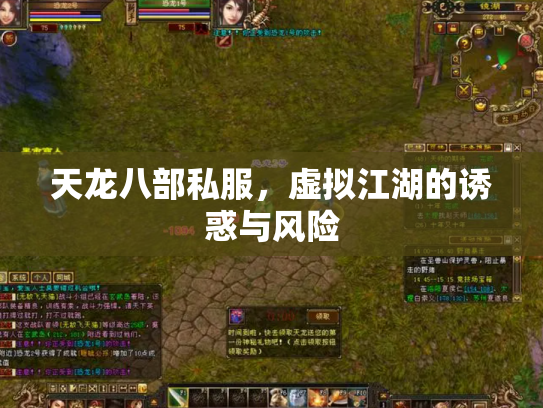 天龙八部私服，虚拟江湖的诱惑与风险