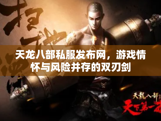 天龙八部私服发布网，游戏情怀与风险并存的双刃剑