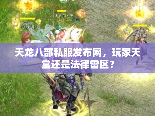 天龙八部私服发布网，玩家天堂还是法律雷区？