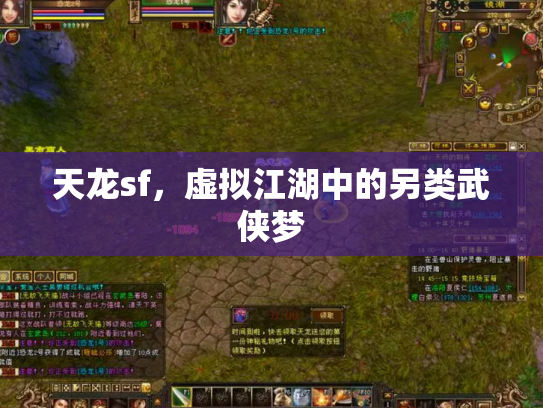 天龙sf，虚拟江湖中的另类武侠梦