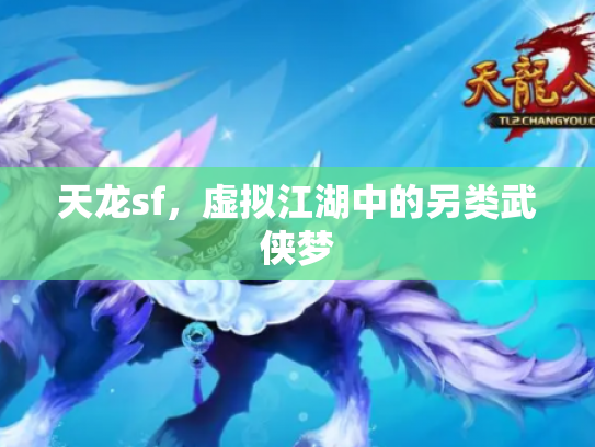 天龙sf，虚拟江湖中的另类武侠梦