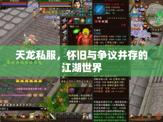 天龙私服，怀旧与争议并存的江湖世界