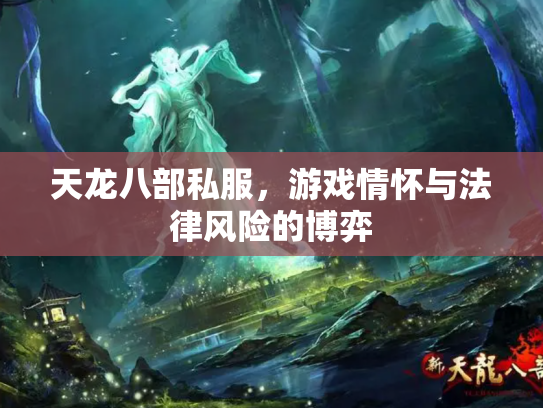 天龙八部私服，游戏情怀与法律风险的博弈