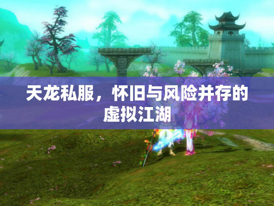 天龙私服，怀旧与风险并存的虚拟江湖