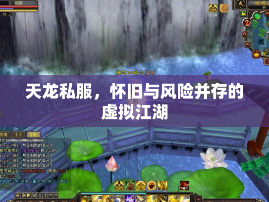 天龙私服，怀旧与风险并存的虚拟江湖