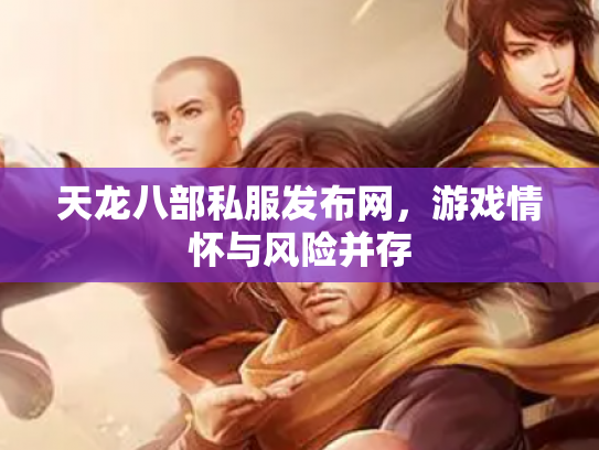 天龙八部私服发布网，游戏情怀与风险并存