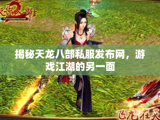 揭秘天龙八部私服发布网，游戏江湖的另一面