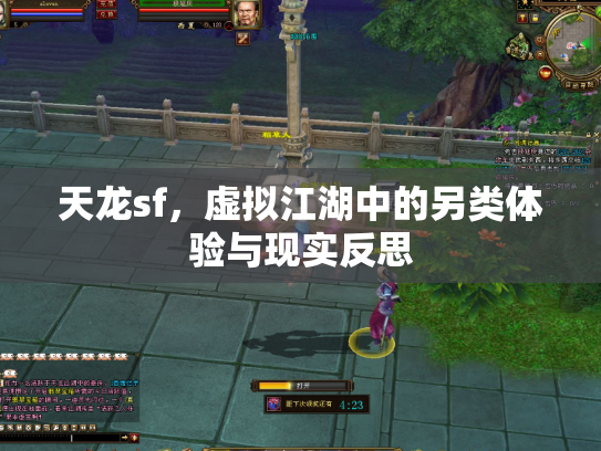 天龙sf，虚拟江湖中的另类体验与现实反思