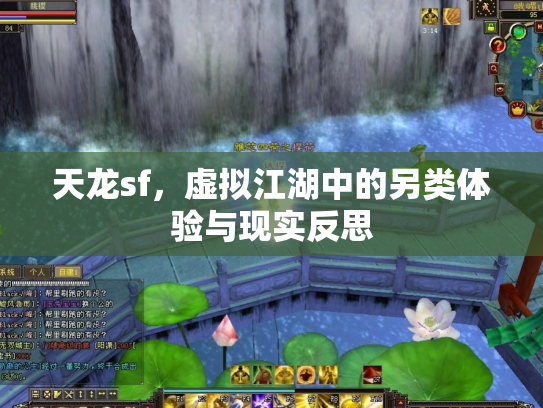 天龙sf，虚拟江湖中的另类体验与现实反思