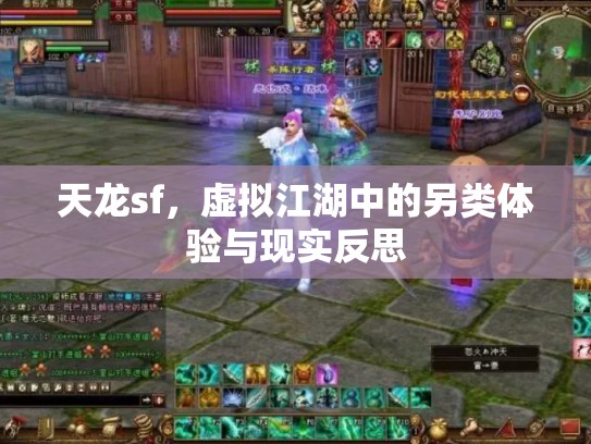 天龙sf，虚拟江湖中的另类体验与现实反思