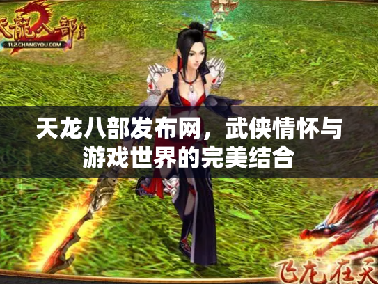 天龙八部发布网，武侠情怀与游戏世界的完美结合