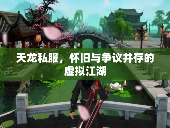天龙私服，怀旧与争议并存的虚拟江湖