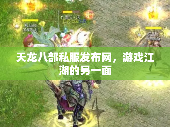 天龙八部私服发布网，游戏江湖的另一面