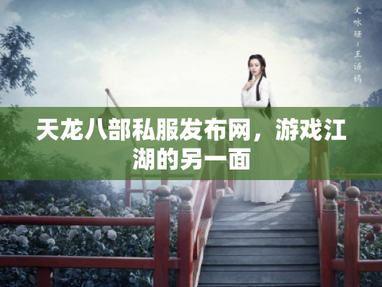 天龙八部私服发布网，游戏江湖的另一面