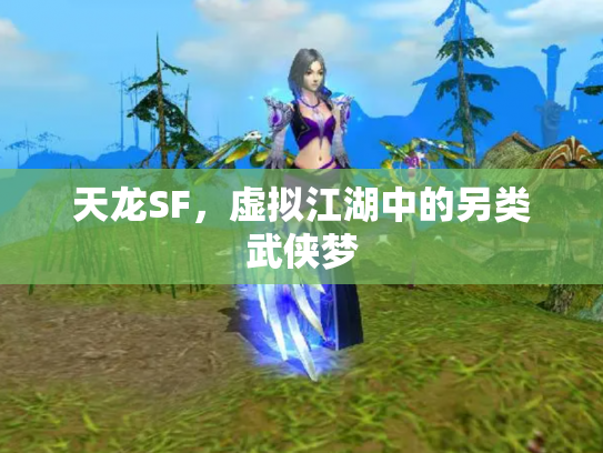 天龙SF，虚拟江湖中的另类武侠梦