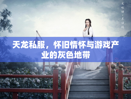 天龙私服，怀旧情怀与游戏产业的灰色地带