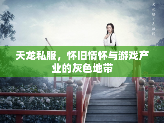 天龙私服，怀旧情怀与游戏产业的灰色地带