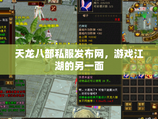 天龙八部私服发布网，游戏江湖的另一面