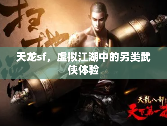 天龙sf，虚拟江湖中的另类武侠体验