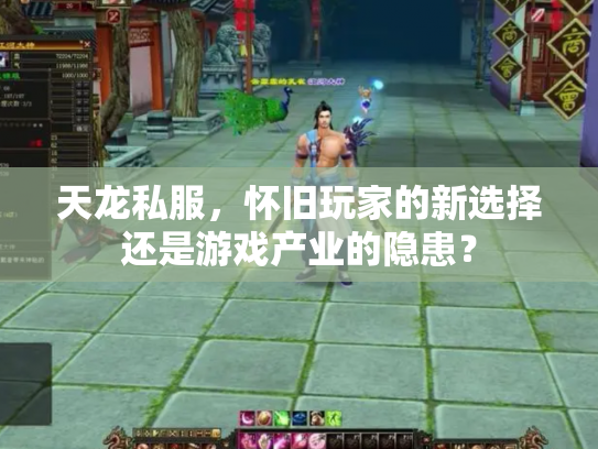 天龙私服，怀旧玩家的新选择还是游戏产业的隐患？
