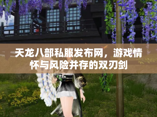 天龙八部私服发布网，游戏情怀与风险并存的双刃剑