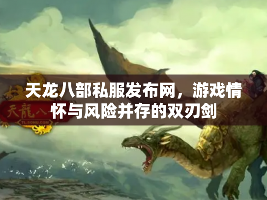 天龙八部私服发布网，游戏情怀与风险并存的双刃剑