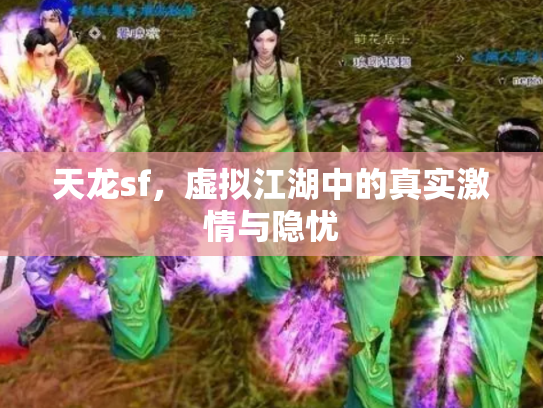 天龙sf，虚拟江湖中的真实激情与隐忧