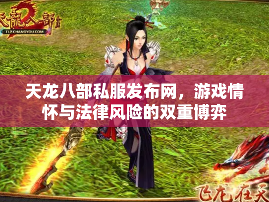 天龙八部私服发布网，游戏情怀与法律风险的双重博弈
