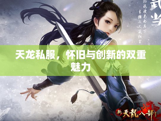 天龙私服，怀旧与创新的双重魅力