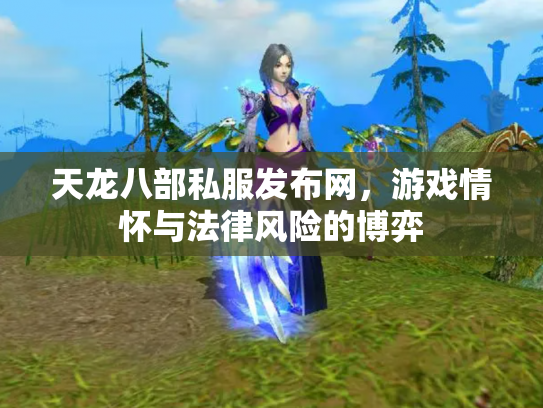 天龙八部私服发布网，游戏情怀与法律风险的博弈