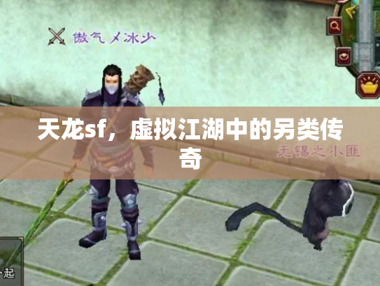 天龙sf，虚拟江湖中的另类传奇