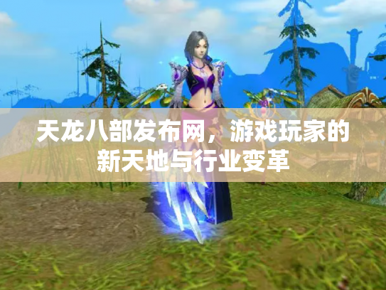 天龙八部发布网，游戏玩家的新天地与行业变革