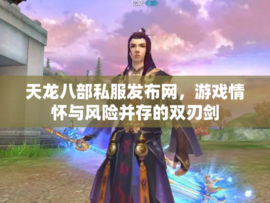 天龙八部私服发布网，游戏情怀与风险并存的双刃剑