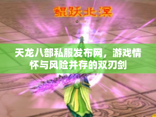 天龙八部私服发布网，游戏情怀与风险并存的双刃剑