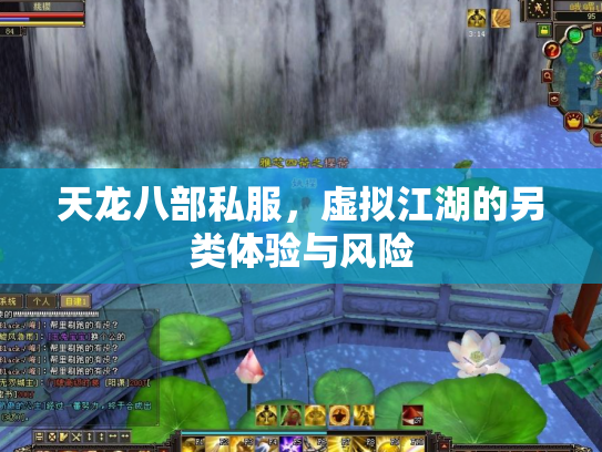 天龙八部私服，虚拟江湖的另类体验与风险