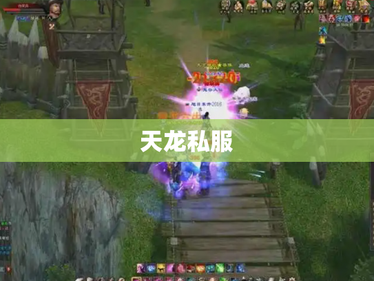 天龙私服