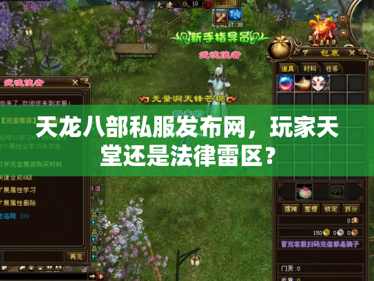 天龙八部私服发布网，玩家天堂还是法律雷区？