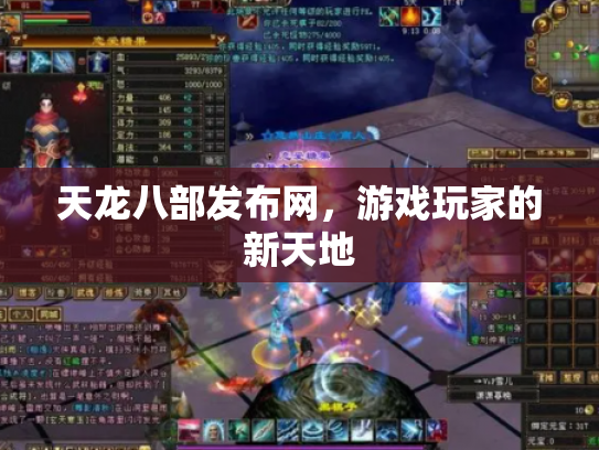 天龙八部发布网，游戏玩家的新天地