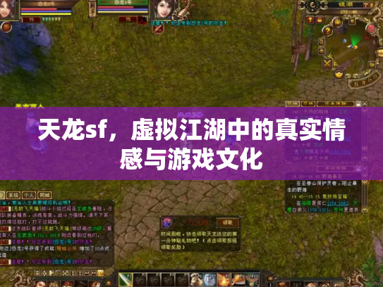 天龙sf，虚拟江湖中的真实情感与游戏文化