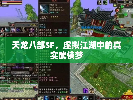 天龙八部SF，虚拟江湖中的真实武侠梦