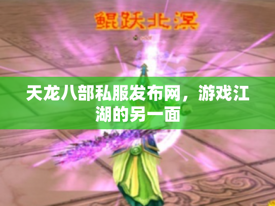 天龙八部私服发布网，游戏江湖的另一面